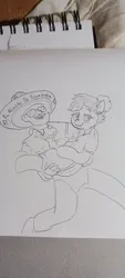 Size: 922x2048 | Tagged: safe, artist:pony quarantine, derpibooru import, oc, unofficial characters only, earth pony, human, pony, bridal carry, carrying, duo, female, grayscale, human male, image, jpeg, male, mare, monochrome, pen drawing, sombrero, traditional art