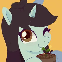 Size: 900x900 | Tagged: safe, artist:talimingi, derpibooru import, sprout greenhoof, pony, unicorn, bust, female, g4, image, jpeg, las pegasus resident, looking at you, mare, potted plant, simple background, smiling, smiling at you, solo, yellow background