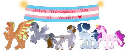 Size: 5000x2000 | Tagged: safe, artist:itstechtock, ponerpics import, ponybooru import, oc, unofficial characters only, group, image, png, politics, pride, pride flag, transgender, transgender pride flag
