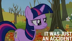 Size: 2000x1125 | Tagged: safe, derpibooru import, edit, edited screencap, editor:quoterific, screencap, twilight sparkle, fall weather friends, image, png, solo