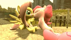 Size: 1366x768 | Tagged: safe, artist:crazymod122, derpibooru import, fluttershy, pinkie pie, earth pony, pegasus, pony, 3d, blushing, cute, daaaaaaaaaaaw, duo, eyes closed, female, gmod, image, jpeg, kissing, lesbian, mare, ship:flutterpie, shipping, source filmmaker, story included, surprise kiss