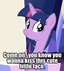 Size: 500x556 | Tagged: episode needed, safe, edit, edited screencap, editor:undeadponysoldier, ponerpics import, ponybooru import, screencap, twilight sparkle, twilight sparkle (alicorn), alicorn, pony, animated, blinking, cute, eye flutter, female, gif, grin, happy, image, implied kissing, mare, sitting, smiling, talking to viewer, text, twiabetes, twilight's castle
