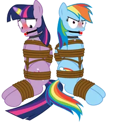 Size: 8891x9607 | Tagged: safe, artist:cardshark777, derpibooru import, rainbow dash, twilight sparkle, twilight sparkle (alicorn), alicorn, pegasus, pony, angry, arm behind back, ballgag, blushing, bondage, bound and gagged, bound wings, captured, dashsub, digital art, embarrassed, femsub, g4, gag, helpless, hooves behind back, horn, horn ring, image, jewelry, looking at you, looking down, magic suppression, png, rainbow dash is not amused, ring, simple background, submissive, transparent background, twisub, unamused, wings, wip
