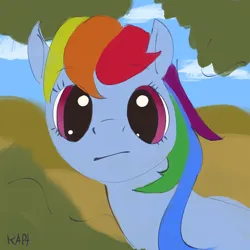 Size: 3000x3000 | Tagged: safe, artist:rapt, derpibooru import, rainbow dash, colored, flat colors, image, looking at you, png, solo