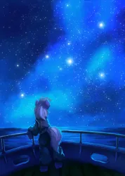 Size: 2140x3000 | Tagged: safe, artist:terrafomer, derpibooru import, oc, unofficial characters only, earth pony, pony, fanfic:звёзды, clothes, earth pony oc, fanfic art, image, male, night, ocean, png, ship, sky, solo, stallion, stars, water