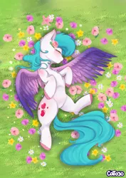 Size: 2894x4093 | Tagged: safe, artist:cottonheart05, derpibooru import, oc, oc:cotton heart, pegasus, pony, caption, flower, image, image macro, overhead view, png, resting, solo, text