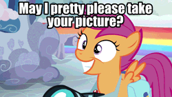 Size: 960x540 | Tagged: safe, edit, edited screencap, editor:undeadponysoldier, ponerpics import, ponybooru import, screencap, scootaloo, pegasus, pony, parental glideance, camera, cloudsdale, cute, cutealoo, female, filly, foal, gif, happy, image, looking at you, photo, rainbow, solo, talking to viewer, text