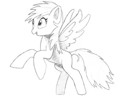Size: 3072x2500 | Tagged: safe, artist:maonyman, derpibooru import, rainbow dash, pegasus, pony, black and white, digital art, female, grayscale, happy, image, mare, monochrome, open mouth, pencil, png, practice, rearing, reference used, shading, simple background, smiling, solo, spread wings, white background, wings
