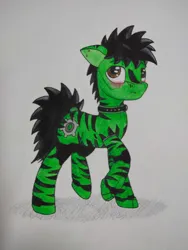 Size: 3000x4000 | Tagged: suggestive, artist:zocidem, derpibooru import, oc, oc:wrench, unofficial characters only, earth pony, pony, augmented, biting, blushing, collar, ear bite, floppy ears, image, png, shy, solo, stripes, traditional art