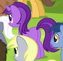 Size: 207x203 | Tagged: safe, derpibooru import, screencap, amethyst star, blues, caramel, derpy hooves, noteworthy, pear seed, royal riff, unnamed character, unnamed pony, earth pony, pony, unicorn, season 4, trade ya, cropped, female, image, jpeg, male, mare, not amethyst star, solo focus, stallion, standing, unknown pony
