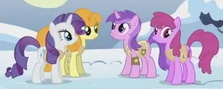 Size: 580x231 | Tagged: safe, derpibooru import, screencap, amethyst star, berry punch, berryshine, carrot top, golden harvest, rarity, earth pony, pony, unicorn, season 1, winter wrap up, animal team, cropped, female, g4, group, image, mare, png, quartet, snow, standing, winter wrap up vest
