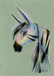 Size: 3477x4896 | Tagged: safe, artist:cahandariella, derpibooru import, oc, horse, pony, zebra, bust, colored pencil drawing, female, image, jpeg, looking at you, mare, portrait, realistic, solo, traditional art