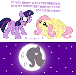 Size: 724x717 | Tagged: safe, artist:elosande, derpibooru import, edit, fluttershy, twilight sparkle, pegasus, pony, unicorn, a bird in the hoof, bad end, colored, comic, dialogue, female, floppy ears, horn, image, mare, mare in the moon, moon, night, png, scared, shocked, stars, to the moon, unicorn twilight, wings