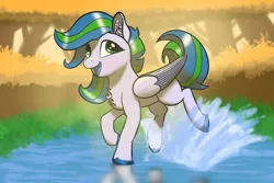 Size: 3072x2048 | Tagged: safe, artist:maonyman, derpibooru import, oc, oc:puddle jump, unofficial characters only, pegasus, pony, /mlp/, 4chan, background, chest fluff, colored hooves, colored wings, ear fluff, female, folded wings, grass, hopping, image, leaves, lighting, mare, open mouth, png, pond, puddle, secret santa, shading, shiny hoof, smiling, solo, splash, splashing, striped mane, striped tail, sunlight, tail, tree, two toned hair, two toned mane, two toned tail, two toned wings, water, wings