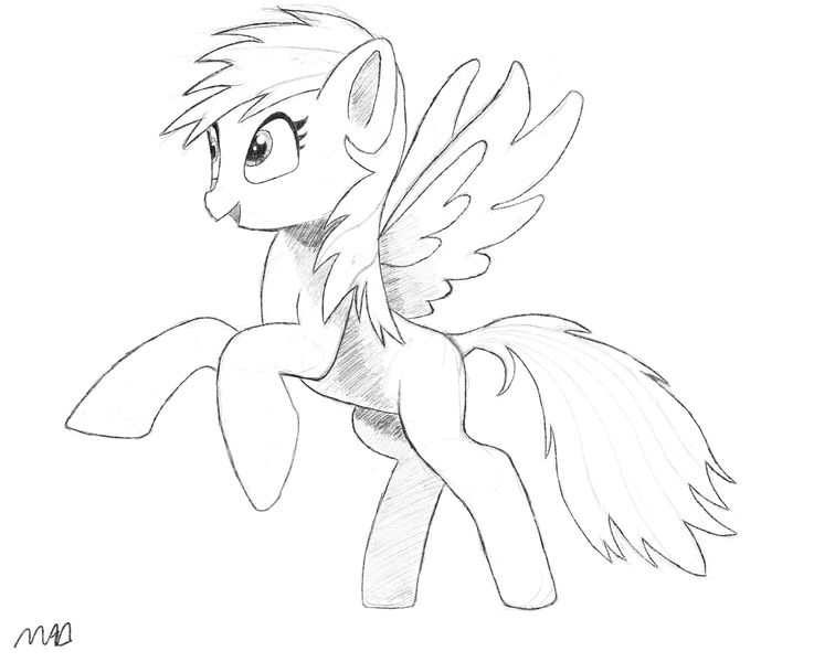 Size: 3072x2500 | Tagged: safe, artist:maonyman, derpibooru import, rainbow dash, pegasus, pony, black and white, digital art, female, g4, grayscale, happy, image, mare, monochrome, open mouth, pencil, png, practice, rearing, reference used, shading, simple background, smiling, solo, spread wings, white background, wings