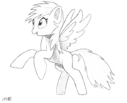 Size: 3072x2500 | Tagged: safe, artist:maonyman, derpibooru import, rainbow dash, pegasus, pony, black and white, digital art, female, g4, grayscale, happy, image, mare, monochrome, open mouth, pencil, png, practice, rearing, reference used, shading, simple background, smiling, solo, spread wings, white background, wings