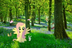 Size: 1620x1080 | Tagged: safe, derpibooru import, editor:karmainic, angel bunny, discord, fluttershy, butterfly, insect, pegasus, squirrel, editor, exploitable meme, flower, image, irl, meme, moss, nature, nature is so fascinating, obligatory pony, outdoors, photo, photoshop, png, puppy dog eyes, shadow, sunshine, tree
