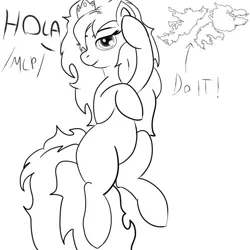 Size: 540x540 | Tagged: artist needed, safe, earth pony, pony, /mlp/, 4chan, argentina, black and white, crown, eye covered by hair, falkland islands, female, fluffy mane, fluffy tail, folded forelegs, grayscale, hair covering face, huggable, ico el caballito valiente, ico the brave little horse, image, jewelry, jpeg, lineart, long tail, looking at you, mane covering eye, mare, monochrome, preciosa, princess, princess preciosa, raised leg, regalia, simple background, solo, spanish text, text, war, white background