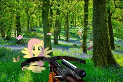 Size: 719x480 | Tagged: safe, derpibooru import, edit, edited edit, editor:karmainic, angel bunny, discord, fluttershy, butterfly, insect, pegasus, squirrel, arrow, crossbow, editor, exploitable meme, flower, frown, hunting, image, imminent shooting, irl, jpeg, meme, moss, nature, nature is so fascinating, obligatory pony, outdoors, photo, photoshop, puppy dog eyes, scared, shadow, sunshine, tree, weapon