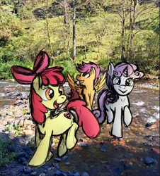 Size: 1723x1907 | Tagged: safe, artist:blankedsoul, derpibooru import, apple bloom, scootaloo, sweetie belle, earth pony, pegasus, pony, unicorn, cmc day, cutie mark crusaders, female, filly, foal, image, irl, photo, png, ponies in real life