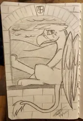 Size: 2511x3671 | Tagged: safe, artist:darthalex70, derpibooru import, oc, oc:duskclaw, gryphon, derpibooru exclusive, griffon oc, image, jpeg, looking at you, sitting, sketch, solo, traditional art, window