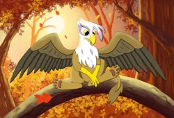 Size: 3033x2058 | Tagged: safe, artist:jack-varus, derpibooru import, gilda, gryphon, autumn, crying, female, forest, forest background, image, leaves, png, sad, solo, tree, tree branch