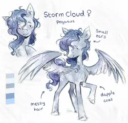 Size: 1168x1124 | Tagged: safe, artist:lutraviolet, derpibooru import, oc, oc:storm cloud, unofficial characters only, pegasus, pony, chest fluff, commission, female, image, jpeg, mare, raised hoof, reference sheet, solo, unshorn fetlocks