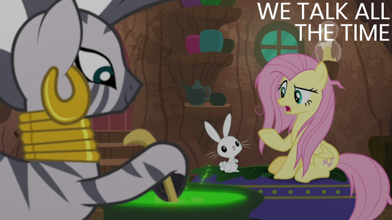 Size: 2000x1125 | Tagged: safe, derpibooru import, edit, edited screencap, editor:quoterific, screencap, angel bunny, fluttershy, zecora, she talks to angel, image, png