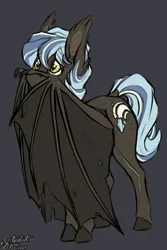 Size: 2000x3000 | Tagged: safe, artist:stardustspix, derpibooru import, oc, oc:comet coma, bat pony, pony, bat wings, cute, ear fluff, eye clipping through hair, eyebrows, eyebrows visible through hair, hiding behind wing, high res, image, looking up, male, multicolored hair, png, scar, shy, simple background, solo, stallion, tattered, tattered wings, wings