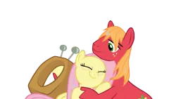 Size: 4000x2250 | Tagged: safe, anonymous artist, derpibooru import, big macintosh, fluttershy, earth pony, pegasus, pony, the perfect pear, big macintosh's yoke, cute, duo, duo male and female, eyes closed, female, fluttermac, high res, hoof hold, horse collar, hug, image, macabetes, male, mare, png, shipping, shyabetes, simple background, smiling, stallion, straight, transparent background, vector, wet, wet mane