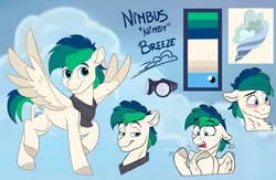 Size: 3450x2250 | Tagged: safe, artist:rutkotka, derpibooru import, oc, oc:nimbus breeze, unofficial characters only, pegasus, pony, character design, clothes, cutie mark, embarrassed, goggles, image, male, panicking, pegasus oc, png, reference sheet, scarf, smug, stallion, wings