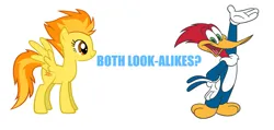 Size: 1359x647 | Tagged: safe, artist:durpy, derpibooru import, edit, spitfire, bird, pegasus, pony, '90s, 2000s, blue text, crossover, cute, cutefire, female, g4, image, look-alike, male, mare, png, simple background, smiling, text, the new woody woodpecker show, universal studios, vector, walter lantz, white background, woodpecker, woody woodpecker, woody woodpecker (series)