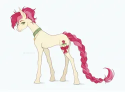Size: 2560x1883 | Tagged: safe, artist:unamori, derpibooru import, roseluck, pony, alternate hairstyle, bow, braid, braided tail, collar, commission, commissioner:doom9454, concave belly, hooves, image, jpeg, leg band, long legs, long tail, pet tag, pony pet, ponytail, quadrupedal, ribbon, rosepet, side view, simple background, skinny, standing, sternocleidomastoid, tail, thin, white background