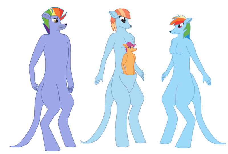 Size: 1280x864 | Tagged: safe, artist:mlp-headstrong, derpibooru import, bow hothoof, rainbow dash, scootaloo, windy whistles, anthro, kangaroo, adopted, adopted offspring, family, father and child, father and daughter, female, freckles, image, male, mother and child, mother and daughter, png, pouch, scootadoption, scootalove, siblings, sisters, smiling, species swap