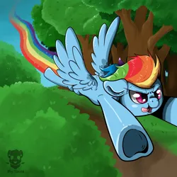 Size: 3000x3000 | Tagged: safe, artist:valemjj, derpibooru import, rainbow dash, pegasus, g4, image, jpeg, simple background, transparent background