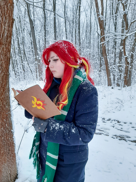 Size: 3000x4000 | Tagged: safe, artist:yuris, derpibooru import, sunset shimmer, human, equestria girls, clothes, cosplay, costume, forest, harry potter (series), image, irl, jpeg, nature, photo, slytherin, solo, tree, winter