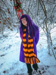 Size: 3000x4000 | Tagged: safe, artist:yuris, derpibooru import, sci-twi, twilight sparkle, human, equestria girls, clothes, cosplay, costume, forest, gryffindor, harry potter (series), image, jpeg, mistletoe, nature, photo, solo, tree, winter