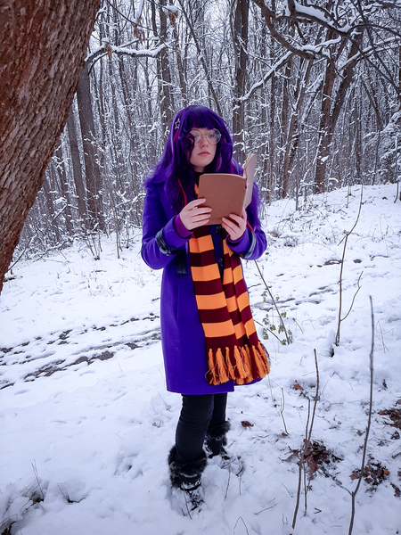 Size: 3000x4000 | Tagged: safe, artist:yuris, derpibooru import, sci-twi, twilight sparkle, human, equestria girls, clothes, cosplay, costume, forest, gryffindor, harry potter (series), image, jpeg, nature, photo, solo, tree, winter