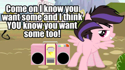 Size: 960x540 | Tagged: suggestive, ponerpics import, ponybooru import, oc, oc:stormi minaj, unofficial characters only, pegasus, pony, bedroom eyes, butt shake, colt, dancing, foal, gif, image, looking at you, male, meme, radio, seductive, solo, tail wag, talking to viewer
