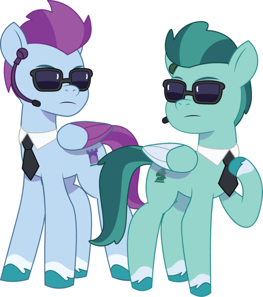 Size: 1194x1347 | Tagged: safe, artist:prixy05, derpibooru import, pegasus, pony, g5, my little pony: tell your tale, duo, duo male and female, female, guardsmare, image, male, mare, necktie, pegasus royal guard, png, royal guard, security, simple background, stallion, sunglasses, thunder flap, transparent background, vector, zoom zephyrwing