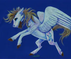 Size: 5443x4462 | Tagged: safe, artist:cahandariella, derpibooru import, oc, pegasus, pony, beard, blue background, blue eyes, colored pencil drawing, facial hair, image, jpeg, large wings, male, raffle prize, simple background, solo, stallion, traditional art, white coat, wings