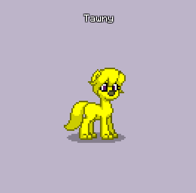 Size: 390x385 | Tagged: safe, derpibooru import, oc, oc:tawny petal, pony, wolf, pony town, female, female oc, image, non-pony oc, png, simple background, solo, tail, wolf oc, yellow fur, yellow mane, yellow tail
