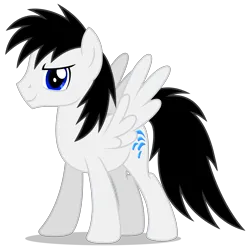 Size: 3823x3857 | Tagged: safe, artist:creedyboy124, derpibooru import, oc, oc:shane park, unofficial characters only, pegasus, pony, image, male, png, smiling, solo, stallion