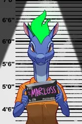 Size: 600x900 | Tagged: safe, artist:hitsuji, derpibooru import, anthro, dragon, hybrid, longma, them's fightin' herds, community related, image, jpeg, looking at you, mane of fire, mugshot, solo, tianhuo (tfh)