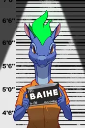 Size: 600x900 | Tagged: safe, artist:hitsuji, derpibooru import, edit, anthro, dragon, hybrid, longma, them's fightin' herds, baihe (tfh), community related, image, jpeg, looking at you, mugshot, solo, tianhuo (tfh)