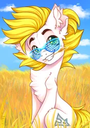 Size: 1668x2388 | Tagged: safe, alternate version, artist:falafeljake, derpibooru import, oc, oc:alabastor amril, unofficial characters only, earth pony, pony, chest fluff, cloud, commission, cute, ear fluff, earth pony oc, eyebrows, field, food, grin, image, looking at you, mouth hold, ocbetes, png, shutter shades, signature, sitting, sky, smiling, smiling at you, solo, straw in mouth, sunglasses, wheat, ych result