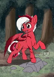 Size: 724x1023 | Tagged: safe, artist:calena, derpibooru import, oc, oc:flamebrush, unofficial characters only, pegasus, pony, commission, cute, forest, forest background, grass, image, jpeg, nature, open mouth, pegasus oc, raised hoof, rock, solo, tree, wings, wood
