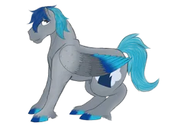 Size: 1024x768 | Tagged: suggestive, artist:katpocketmonster, derpibooru import, oc, oc:swift, unofficial characters only, pegasus, pony, image, male, nudity, png, sheath, simple background, solo, solo male, stallion, transparent background