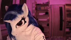 Size: 600x338 | Tagged: safe, artist:essorille, artist:vinylpone, derpibooru import, vinyl scratch, anthro, human, pony, unicorn, animal costume, animated, bedroom, blue mane, blurry background, chest fluff, clothes, cosplay, costume, cute, door, equine, female, furry, fursuit, gif, gloves, hand, hoodie, image, indoors, irl, irl human, looking at you, mare, night, photo, ponysuit, purple background, purple eyes, roleplay, ruffled hair, shelf, shoes, simple background, solo, webcam, window