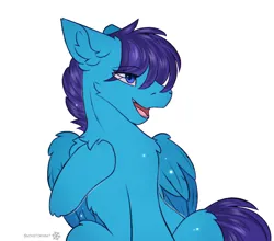 Size: 2276x2000 | Tagged: safe, artist:snowstormbat, derpibooru import, oc, oc:open air, unofficial characters only, pegasus, pony, chest fluff, ear fluff, eye clipping through hair, image, male, open mouth, open smile, pegasus oc, png, simple background, sitting, smiling, solo, stallion, white background, wings